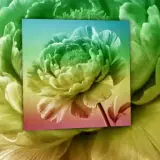 Figurinha para WhatsApp