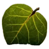 Figurinha para WhatsApp