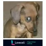 Figurinha para WhatsApp