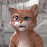 Figurinha de Gatos para WhatsApp