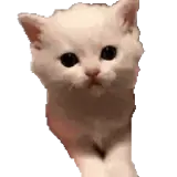 Sticker para WhatsApp