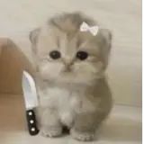 Figurinha para WhatsApp