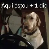 Cachorros WhatsApp sticker