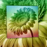 Figurinha para WhatsApp