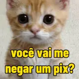 Figurinha de Gatos para WhatsApp