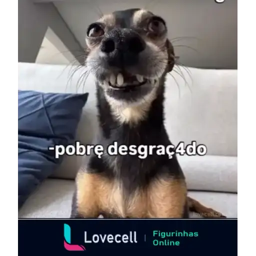 Coletadas sticker 33041