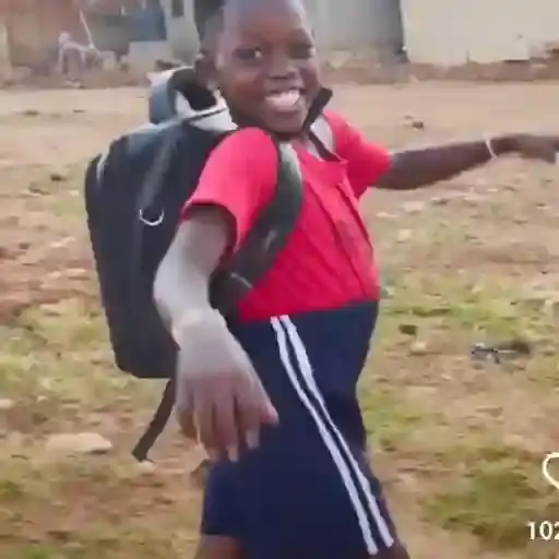 Coletadas sticker 353