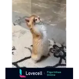 Figurinha para WhatsApp