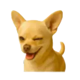 Figurinha de Cachorros para WhatsApp