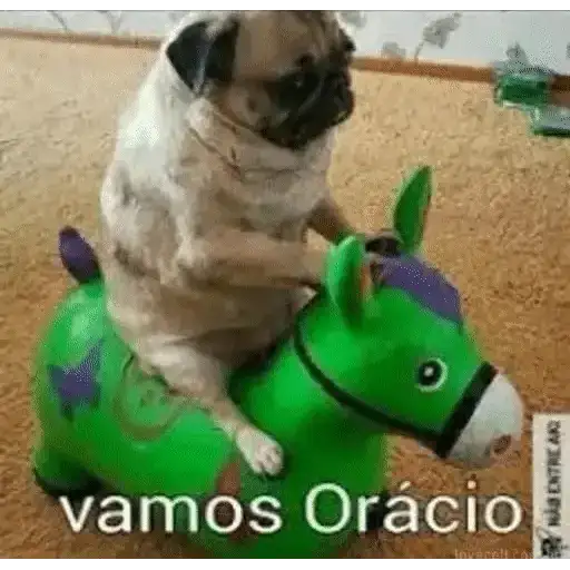 Coletadas sticker 2342