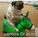 Sticker de Animais para WhatsApp