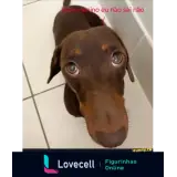 Figurinha para WhatsApp