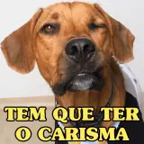 Sticker para WhatsApp