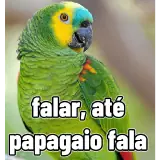 Sticker para WhatsApp
