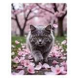 Figurinha de Animais para WhatsApp