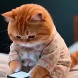 Figurinha de Animais para WhatsApp