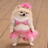 Figurinha para WhatsApp
