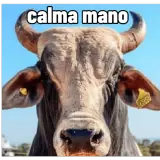 Sticker de Memes para WhatsApp