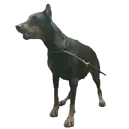 Coletadas sticker 622