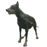 Figurinha para WhatsApp