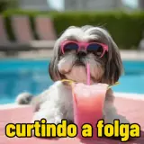 Figurinha para WhatsApp