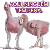 Memes Brasileiros WhatsApp sticker