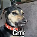 Figurinha para WhatsApp