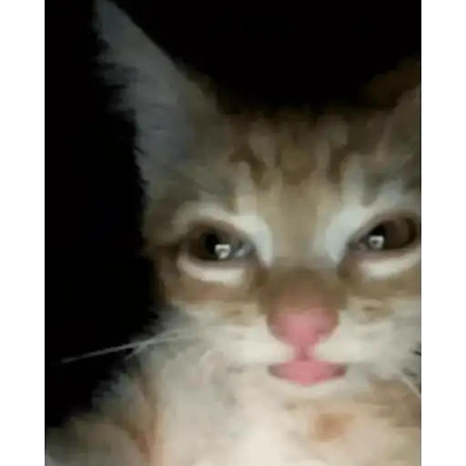 Coletadas sticker 379