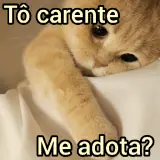 Figurinha de Gatos para WhatsApp