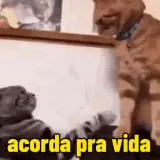Figurinha de Memes Brasileiros para WhatsApp