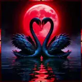 Sticker para WhatsApp