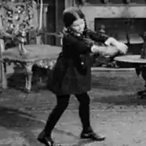 Coletadas sticker 321