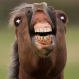 Figurinha para WhatsApp