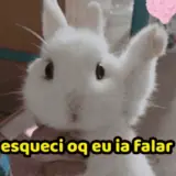 Figurinha de Gatos para WhatsApp