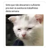 Figurinha de Gatos para WhatsApp