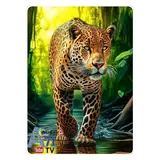 Animais WhatsApp sticker