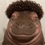 Figurinha de Engraçados para WhatsApp