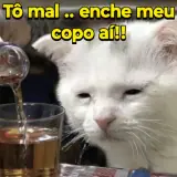 Memes Brasileiros WhatsApp sticker