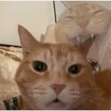 Sticker para WhatsApp