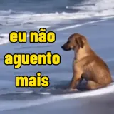 Figurinha de Cachorros para WhatsApp
