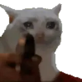 Sticker de Animais para WhatsApp