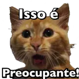 Figurinha para WhatsApp
