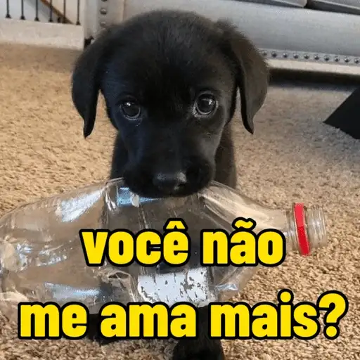 Coletadas sticker 845