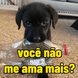 Figurinha para WhatsApp