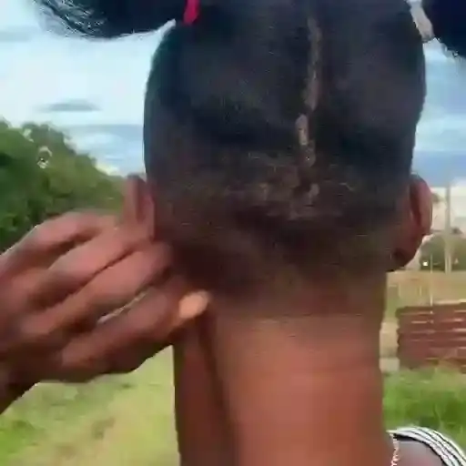 Coletadas sticker 126