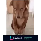 Figurinha para WhatsApp
