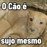 Figurinha para WhatsApp