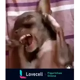 Sticker para WhatsApp