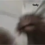 Figurinha de reação para WhatsApp