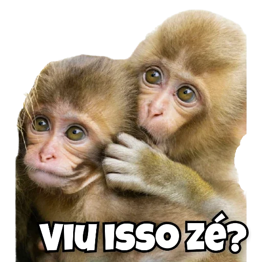 Figurinha para WhatsApp — Memes Brasileiros